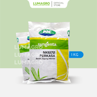 Benih Jagung NK Syngenta 1kg Bibit Perkasa Sumo Juara Andalan Naga 212 NK6172 NK7328 NK7202 NK007