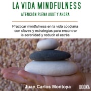 La Vida Mindfulness Juan Carlos Montoya