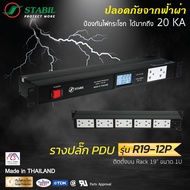 รางปลั๊กไฟ PDU กันฟ้า (ติดตั้งใน Rack 19" ขนาด 1U) รุ่น R19-12P ( PDU with Surge Protection model R