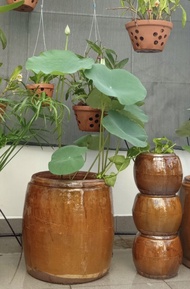 Lu ( khạp) có nắp đựng gạo chứa nước (10 lít 8kg)