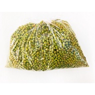 Multigrains Mung Beans Edamame Mung Beans Green Adzuki Beans Planting Beans Delivery Beans Mung Bean