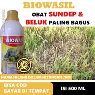 TERLARIS BIOWASIL MEMBASMI SUNDEP DAN BELUK PADI Pestisida Hayati Mengatasi Hama Sundep Padi Insektisida Sundep dan Beluk Obat untuk Memberantas Hama Sundep Dan Beluk Pada Padi Obat Semprot Sundep Padi Obat Beluk Pada Tanaman Padi Paling Ampuh