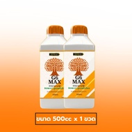 ป้องกัน และกำจัดเชื้อราในนาข้าว G6MAX