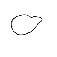 Genuine China Water Pump Seal Gasket for Audi A6L C6 2.4 2.8 3.2 2.5 06E 121 043 06E121043 Brand New