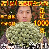 [Buy 1 Get 1 Free] Tibet Wild Green Dill Flower 500g Green Dill Flower Tea Pinzheng Green Dill Green