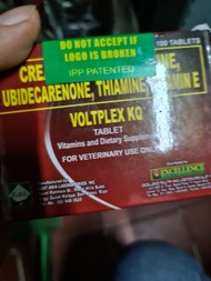 voltplex kQ 10kapsul vitamin doping ayam tarung pisau agresif gesit