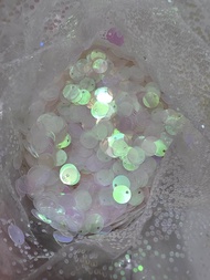 p / ramboci / payet koin / sequin dollar 10mm 10gr