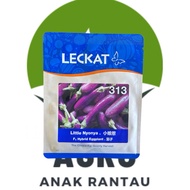 PAKET 10g (2000 BIJI) LITTLE NYONYA 313 CAP LECKAT SEEDS BIJI BENIH TERUNG F1 HYBRID PURPLE EGGPLANT