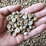 kopi robusta biji mentah 1kg Robusta Dampit ( Grade 1 )