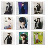 Jinyoung Junior GOT7 Star Collection Card