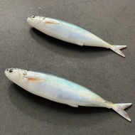 5.71-inch/33g 3d Printed Trolling Lure, Saltwater Bait For Tuna And Mackerel, Deep Sea Fishing Lures