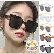 Latest BB-29C Square Sunglasses Square Sunglasses Fashion EyeglassWanitas
