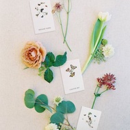 Wild Berry – Place Card 婚禮 賓客座位卡 姓名卡