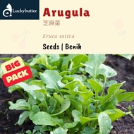 27g (approx. 10,800 seeds) Arugula Seeds 芝麻菜种子