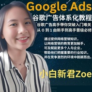Google Ads谷歌广告体系化教程  l 谷歌广告高手带你突破入门难关 l 从0到1由新手到高手晋级必修