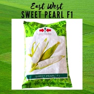 East West EASTWEST SWEET PEARL 1Kilo Seeds Mais