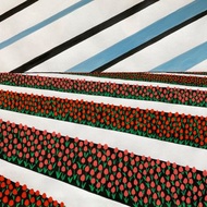 鬱金香田水粉畫、紅花藝術、家居設計、景觀、自然