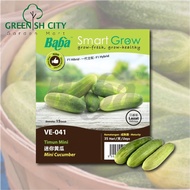 GNC - Baba Smart Grow Seeds VE-041 Mini Cucumber (Timun Mini) 15SEEDS Vege Seed Biji Benih Sayur Sayuran