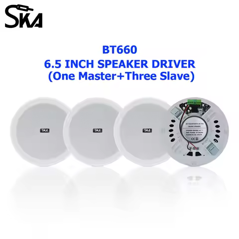 6 Inch Sound Box SURPASS Audio Stereo Full Range Dustproof Mobile Iphone Connectable Bluetooth Speak