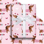 LeZakaa Valentine's Dachshund Pink Wrapping Paper Roll, Dachshund Dressed in Heart-pajamas & XOXO De
