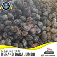 Kerang Dara 1 Kg/Kerang Darah Segar/Kerang Dara Hidup/Seafood