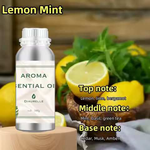 Baberry Goddess 500mL Perfume Fragrance Essential Oil for Home Aroma Diffuser Abercrombie Tom Ford O