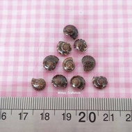 Miniature Shells Craft Materials Crafts Materials Nail Art Accessories