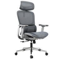 Hbada P2 Pro Ergonomic Office Chair -with Adjustable Lumbar 3D Adjustable Headrest & 360° Rotation A