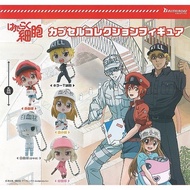 Cells at Work Hataraku Saibo Capsule Collection Figure Hot Breed Diligent Gashapon Bushiroad Authent