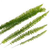 Artificial Fern Leafs,(3 Pieces/Set) Flower arrangement, Plants, Events, Home Decor Afoil116