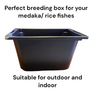 Medaka, Japanese rice fish, guppies and other small fishes tubs.