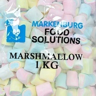 LARGE RAINBOW Markenburg Marshmallows Candy Toppings Cupcake Dessert GRAHAM BALL SMORES HSHOP