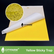 Yellow Two Sided Sticky Trap Insect Sticker 25cm x 20cm (Whiteflies, gnats, shore flies, aphids, lea