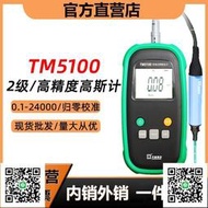 天恒測控TM5100手持特斯拉計高斯計磁力測試磁場強度檢測磁鐵剩磁