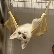 Cat Swing💖Cat Hammock Summer Breathable Cat Swing Cat Cage Hanging Bed Hanging Universal Cage Univer