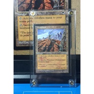 Wizards of The Coast Magic The Gathering Wasteland Tempest English Version MTG*