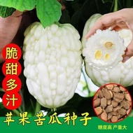 Bitter Gourd Seeds White Bitter Gourd Seeds Four Seasons Spring Summer Autumn Seeds Vegetable Seeds 