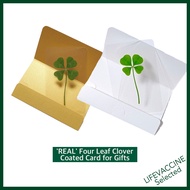'REAL' 4 Four Leaf Clover Coated Card Set for Gifts | For gifts, Thank you gifts, Mobile phone acces