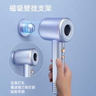 Cross-Border High-Speed Hair Dryer Salon High-Power Hair Dryer Internet Celebrity Hammer Constant Te