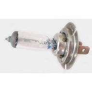 H7 Headlight Bulb (12/24v)