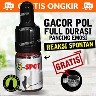 PROMO!!! G-Spot Gspot G Spot Vitamin Suplemen Penggacor Burung Murai