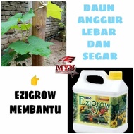 Ezigrow sahadijah hai o