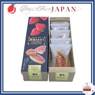 Hakata Amaou Strawberry Tart Baked Cake Individually Wrapped Sweets Snack 【 Direct from Japan 】