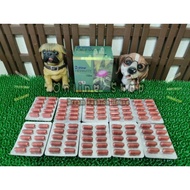 Shine Hepavite Forte 10`s 10(Liver Detox)