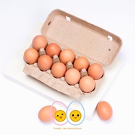 PAPER EGG TRAY 10 Holes EGG BOX 50 PCS