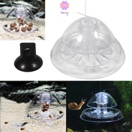 LONNG Snail Trap, Plastic Fishing Line Aquarium Snail Trap, Accessories Transparent Box  Design Fish