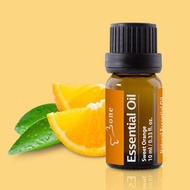 Bone｜Essential Oil - Sweet Orange 甜橙精油 10ml