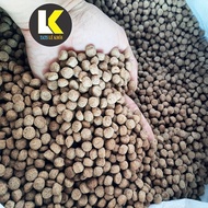 Combo 5Kg Dutch Bran from 2 liters to 10 liters | Fish FOOD | Fishing Lure | Floating Bran Vien