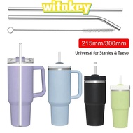 WITAKEY 1Pcs Cup Straw, Drinking 6mm 8mm Stainless Steel Straws, Straight Bent Reusable Silver Replacement Straw for  30oz 40oz Tyeso Cup