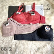 3 PCS Bra Kemben 8812 Import Cup B 3 Elastic Hooks